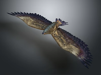 Eagle Flying with Outstretched Wings and Feathers in Gray Sky Background 3d model