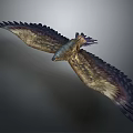 Eagle Flying with Outstretched Wings and Feathers in Gray Sky Background 3d model