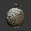 Fresh Whole Cantaloupe Melon With Netted Surface And Green Stem On Dark Background