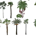 Modern Tree Landscape Tree 3d model