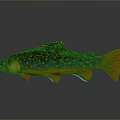 Colorful Aquatic Animal Green Fish With Yellow Spots Red Tail And Red Fins Display Model