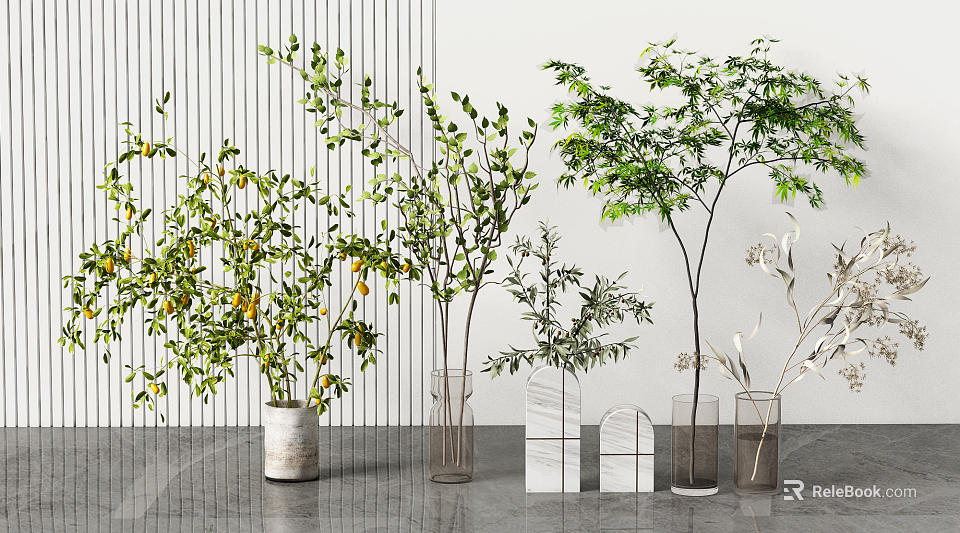 Various Vases With Green Plant Branches Leaves And Fruits White Transparent 3d model 