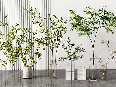 Various Vases With Green Plant Branches Leaves And Fruits White Transparent 3d model