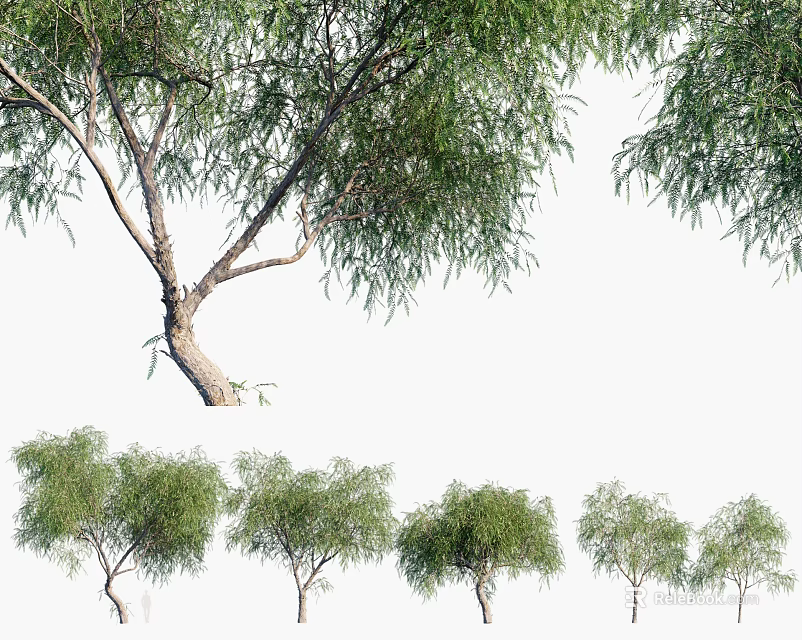 Arbor Trees With Curved Trunk And Lush Foliage Single And Row 3d model 