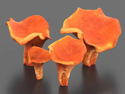 Fresh Orange Cup Shaped Mushrooms Healthy Vegetables For Cooking And Salads 3d model