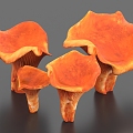 Lobster Mushroom Mushroom Ganoderma lucidum Vegetables 3d model