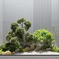 Serene Courtyard Garden with Pruned Trees Various Stones Green Shrubs Gravel Ground and Wooden Flooring