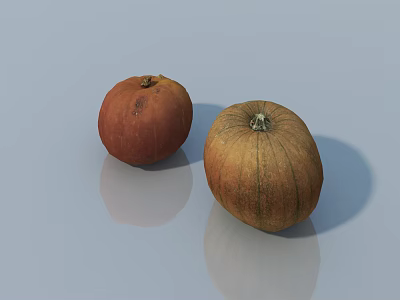 Fresh Vegetable Two Colorful Pumpkins Red And Orange On Smooth Reflective Surface 3d model