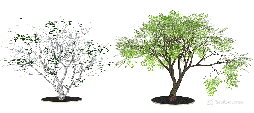 Arbor Trees Showcasing Leafless And Lush Foliage Contrast In Seasonal Landscape Design 3d model 