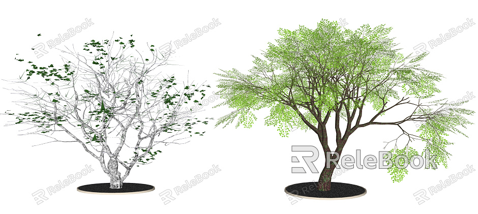 Modern Tree Demonstration Area Landscape Plants model