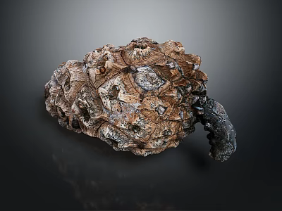 Natural Plant With Rough Brown Black Texture And Irregular Organic Unique Shape 3d model