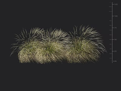 Tall Ornamental Grass Clumps With Feathery Golden Foliage For Garden Landscaping 3d model