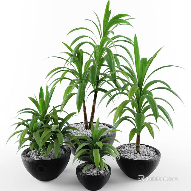 Multiple Green Leafy Potted Plants in Black Pots with White Pebbles 3d model