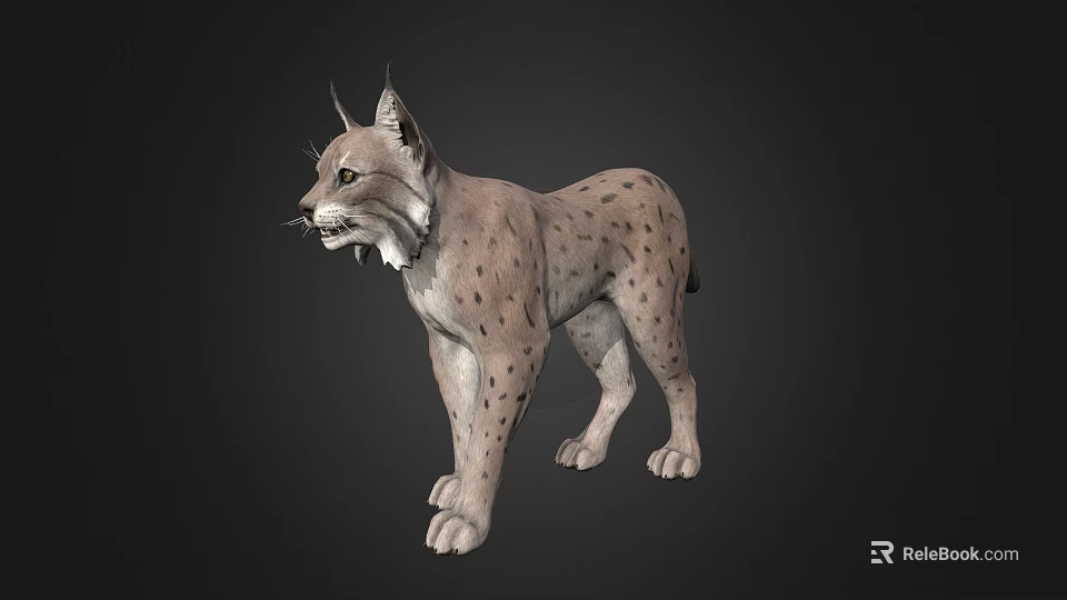 Realistic 3D Model of Lynx With Spotted Fur and Pointed Ears Standing 3d model 