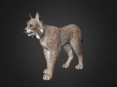 Realistic 3D Model of Lynx With Spotted Fur and Pointed Ears Standing 3d model