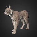 Realistic 3D Model of Lynx With Spotted Fur and Pointed Ears Standing
