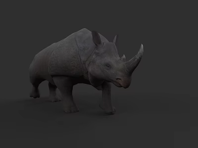 Realistic Gray Rhinoceros Model with Single Horn in Dark Studio Setting 3d model