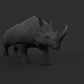 Realistic Gray Rhinoceros Model with Single Horn in Dark Studio Setting