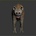 Realistic Hyena 3D Model Standing On Dark Background Spotted Body Mouth Slightly Open Showing Teeth