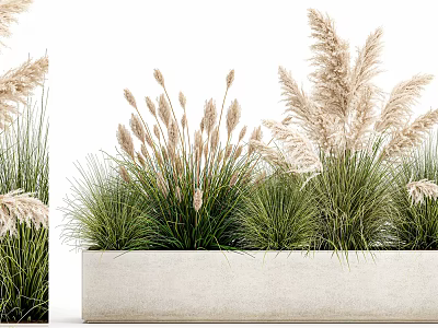 Bonsai Potted Plants With Ornamental Grasses In Concrete Planter For Natural Home Decor 3d model