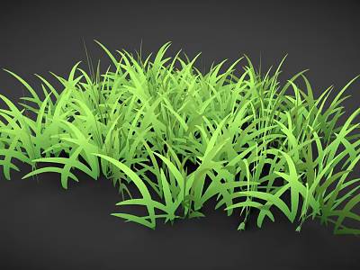 Lush Green Grass With Long Slender Leaves And Vibrant Color Against Black Background 3d model