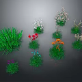 Various Garden Plants With Green Grass And Colorful Flowers In Different Forms