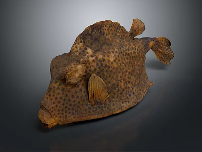 Unique Brown Spotted Aquatic Fish With Unusual Body Shape And Distinct Fins 3d model