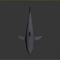 Shark Model With Open Mouth Sharp Teeth And Shiny Surface On Dark Background