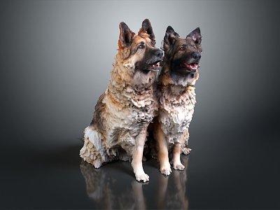 Modern Dog Collie 3d model