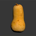 Fresh Whole Yellow Squash on Dark Background with Natural Reflection