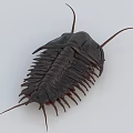 Dark Colored Reptile With Segmented Body Carapace Long Antennae And Multiple Legs