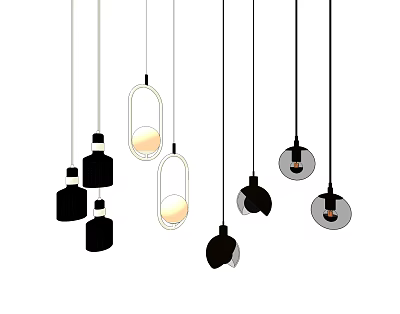 Black And White Modern Pendant Lights With Various Designs And Glass Shades 3d model