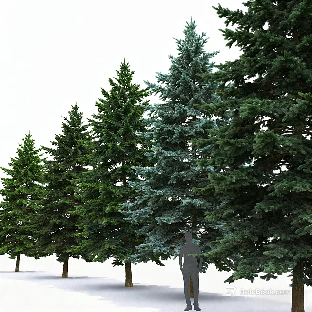 Evergreen Arbor Trees In Natural Arrangement With Various Heights And Green Foliage 3d model 