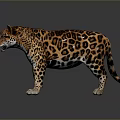 Detailed 3D Render Leopard With Spotted Fur Standing On Gray Background
