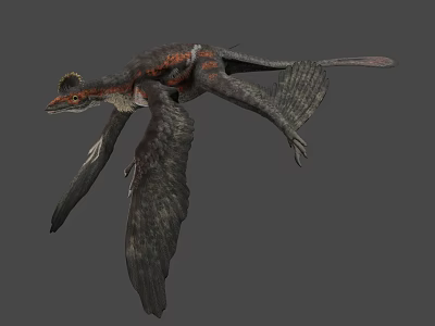 Realistic Flying Pterosaur With Red Gray Wings And Long Tail 3d model