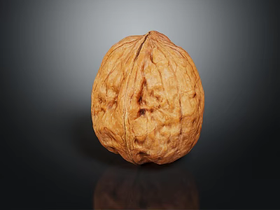 Single Natural Brown Whole Walnut With Textured Shell On Dark Reflective Background 3d model
