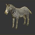 Modern zebra animals 3d model