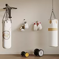 Home Sports Equipment Setup Featuring White Punching Bags Boxing Gloves And Dumbbells