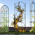 Beautiful Yard Garden Featuring Various Decorative Metal Trellises With Climbing Vines