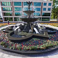 Elegant Central Fountain With Surrounding Colorful Flower Beds And Modern Glass Building Background