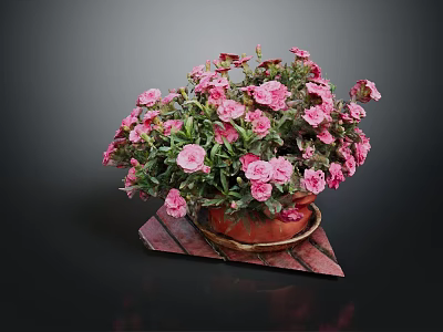 Vibrant Pink Flowers In Ceramic Pot On Red Wooden Tray With Black Background 3d model