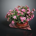 Vibrant Pink Flowers In Ceramic Pot On Red Wooden Tray With Black Background