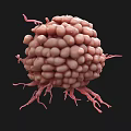 3D Rendered Pink Spherical Cell Like Structure With Thin Protrusions On Black Background