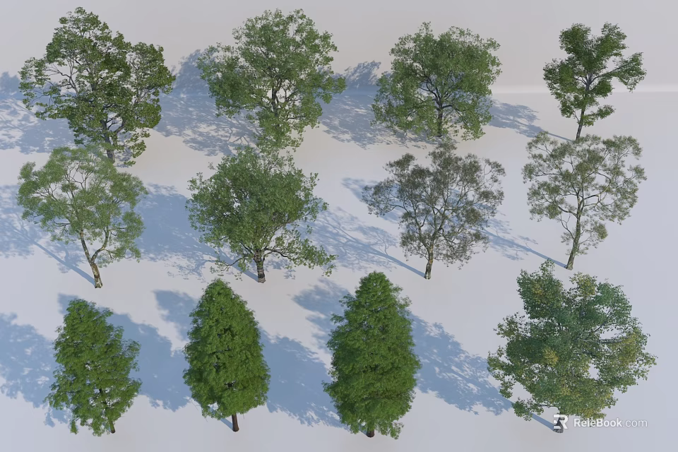 Diverse Arbor Trees Collection With Lush Green Foliage And Different Crown Shapes 3d model 