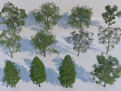 Diverse Arbor Trees Collection With Lush Green Foliage And Different Crown Shapes 3d model