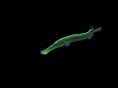 Modern hairtail 3d model Modern hairtail 3d model