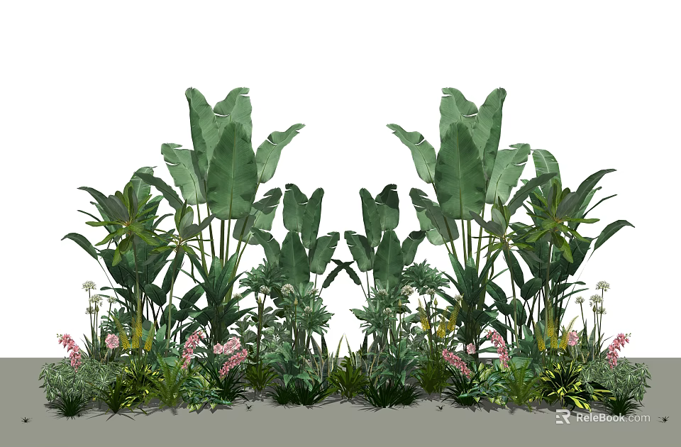 Lush Tropical Garden Plants With Large Green Leaves And Pink Flowers 3d model 