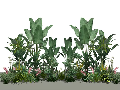 Lush Tropical Garden Plants With Large Green Leaves And Pink Flowers 3d model