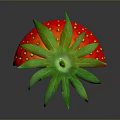 Juicy Sliced Fresh Red Strawberry with Green Leaves on Dark Surface