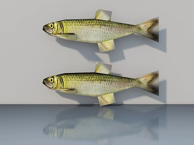Two Silver Green Fish With Yellow Fins Against Gray Background With Reflection 3d model